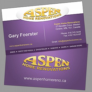 Aspen Home Renovation